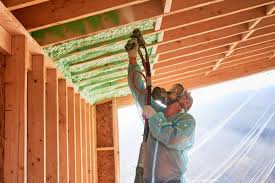 Best Insulation Replacement  in Gonzales, TX