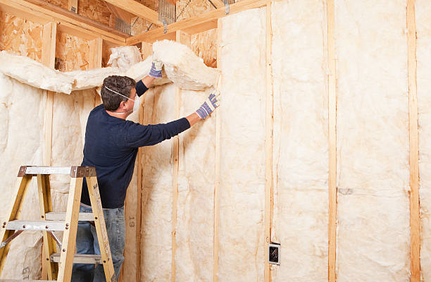 Best Wall Insulation Installation  in Gonzales, TX