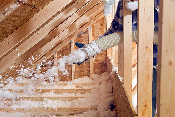 Best Basement Insulation  in Gonzales, TX